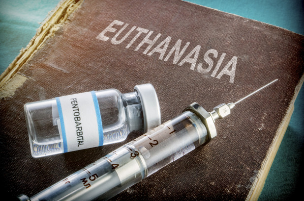 euthanasia