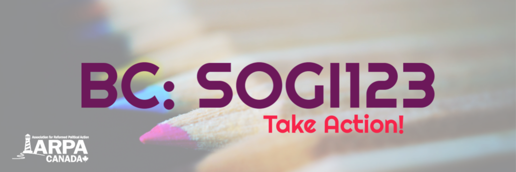 SOGI Cover